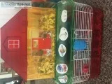 Hamster and cage