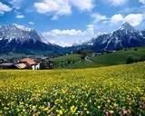 Offering HomeCare HHA Travel and Personal Asst and Seeking LIVE-