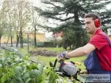 Emergency Tree Care  Absolute Green Life