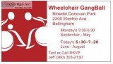 Indoor Wheelchair GangBall