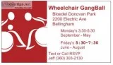 Indoor Wheelchair GangBall