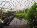 Vertical Farming  Hydroponics Companies  Aquaculture in India