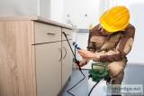 PestInsect Control Service Endow Company in Muskegon Michigan