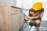 PestInsect Control Service Endow Company in Muskegon Michigan