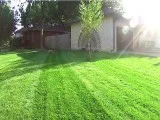 Lawn Fertilizer Service MA