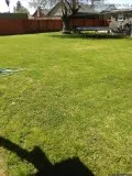 Lawn Service