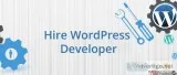 Hire Wordpress Developer