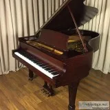 Piano New Zealand