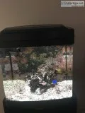 Bio cube Aquarium 14 gallon