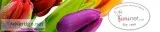Flores Fiorinet M&eacutexico Servicios de entrega de flores