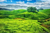 Feel the nature of Love with your loved ones at Munnar