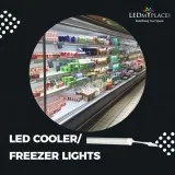 LED CoolerFreezer Lights - LED Refrigerated Display Lights by LE