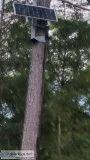 Tree Mount For A Solar Panel (Lancaster)