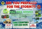 Tree Service- Best Quality and Price
