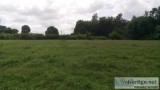 2 Acres of Agriculture Land for Sale in Sakaleshpur