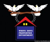 We Buy Houses