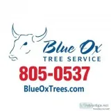 Tree Trimming Service
