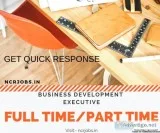 Business Development Executive