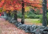 Field Stone of New England