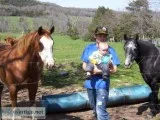 26 acres of clear pasture