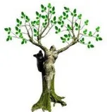 Powerful Moringa Health Benefits