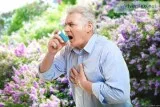 Participate in an Asthma Clinical Study Compensation available