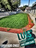 Luis  Landscaping and Lawn Care Services