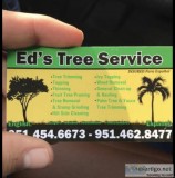 Eds tree servcie