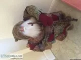 St Nick