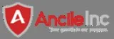 Sr. Bench Sales - US IT Staffing