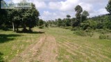 1.5 Acres of Agriculture Land for sale in Between Hassan and Sak