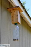 Carpenter Bee Traps