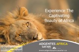 Experience The Captivating Beauty of Africa