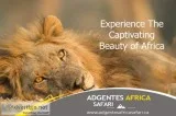 Experience The Captivating Beauty of Africa