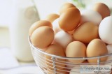 Egg Wholesale Price in Namakkal  Egg Wholesalers Namakkal