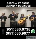 Mariachi puro Jalisco