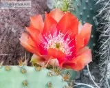 Sale Special at www.createartsy.com