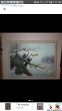 Original Toucan Canvas Painting