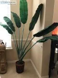 6 foot tall and 6 foot wide artifical Banana Plant