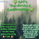 AandPTree ServiceandLandscapin g