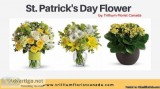 Celebrate St. Patrick s Day Flowers by Trillium Florist Canada