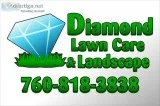 Lawn Aeration