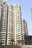 Live peacefully in Ace City Noida Extension 9278057805