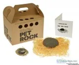 Pet Rocks from the 70s ready and set for the party.