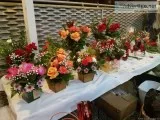 VALENTINE S DAY PLUSHES BOUQUETS AND OTHER ASSRTMENTS