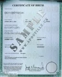 U.S. BIRTH CERTIFICATE RUSH APOSTILLE SERVICES