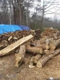wood for sale