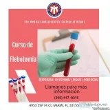 Phlebotomy program