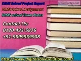 Exploring the need of DIMS solved assignment 0120-433-5876
