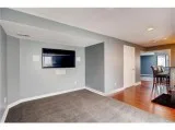 Castle Rock basement for rent